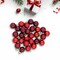 Northlight 2-Finish Mini Christmas Glass Ball Ornaments - 1" (25mm) - Red and Burgundy - 28ct